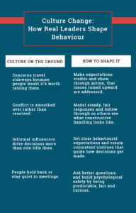Chart showing culture on the ground and how to shape it - to illustrate culture change